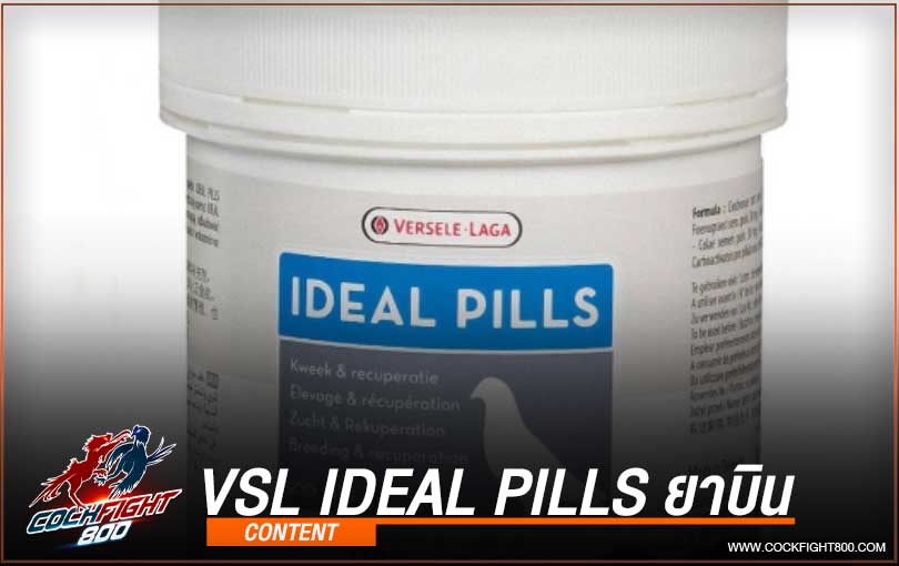 VSL Ideal pills ยาบิน สำหรับไก่ชน