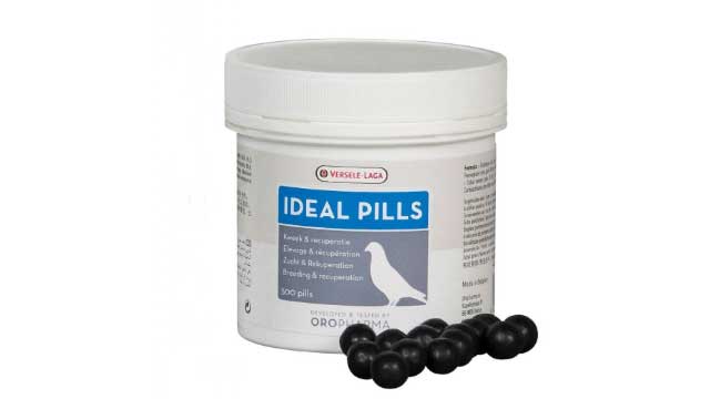 VSL Ideal pills ยาบิน